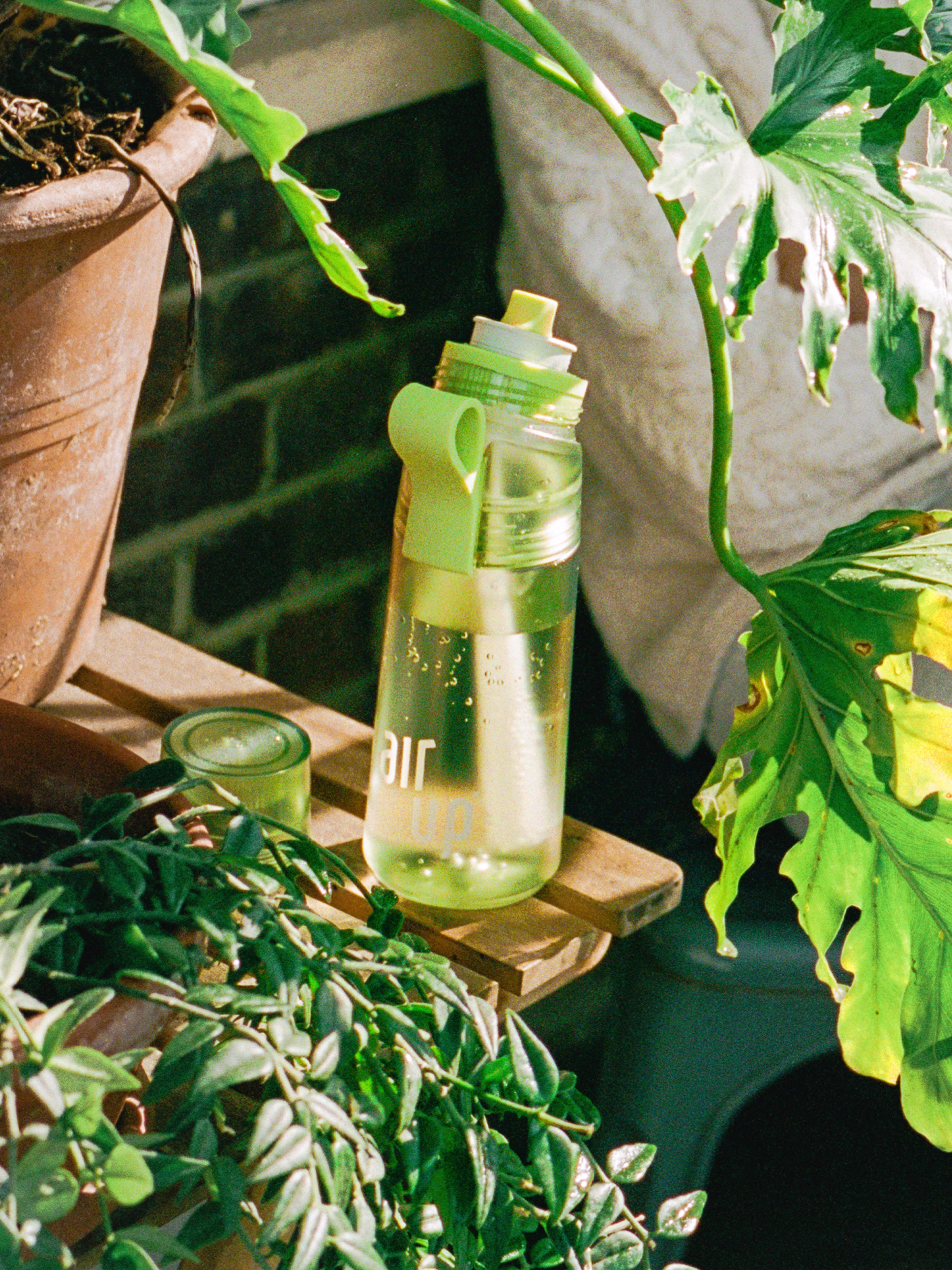 PLP - Deserved Treat Bundle - 140000878