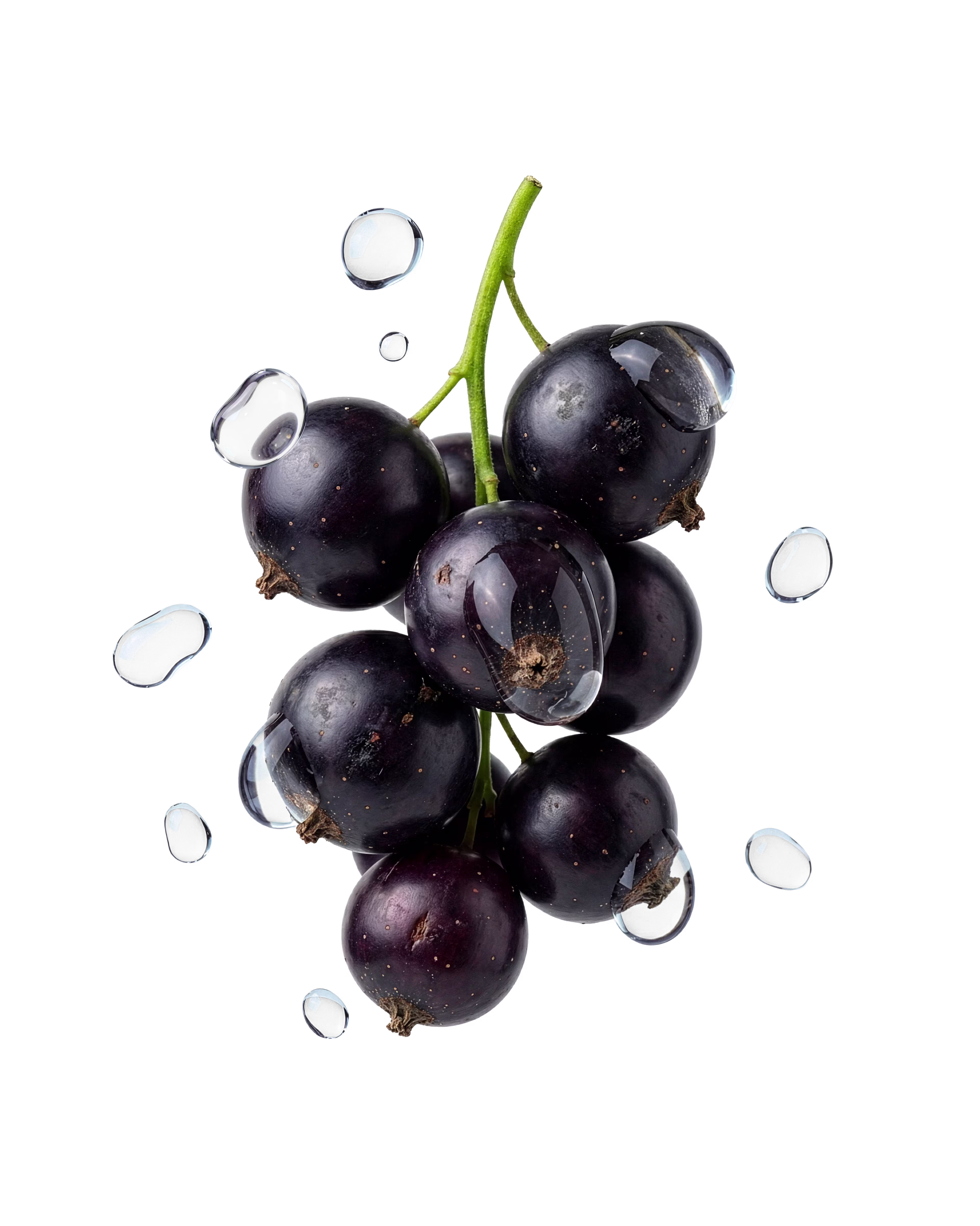 Product Card - Cassis