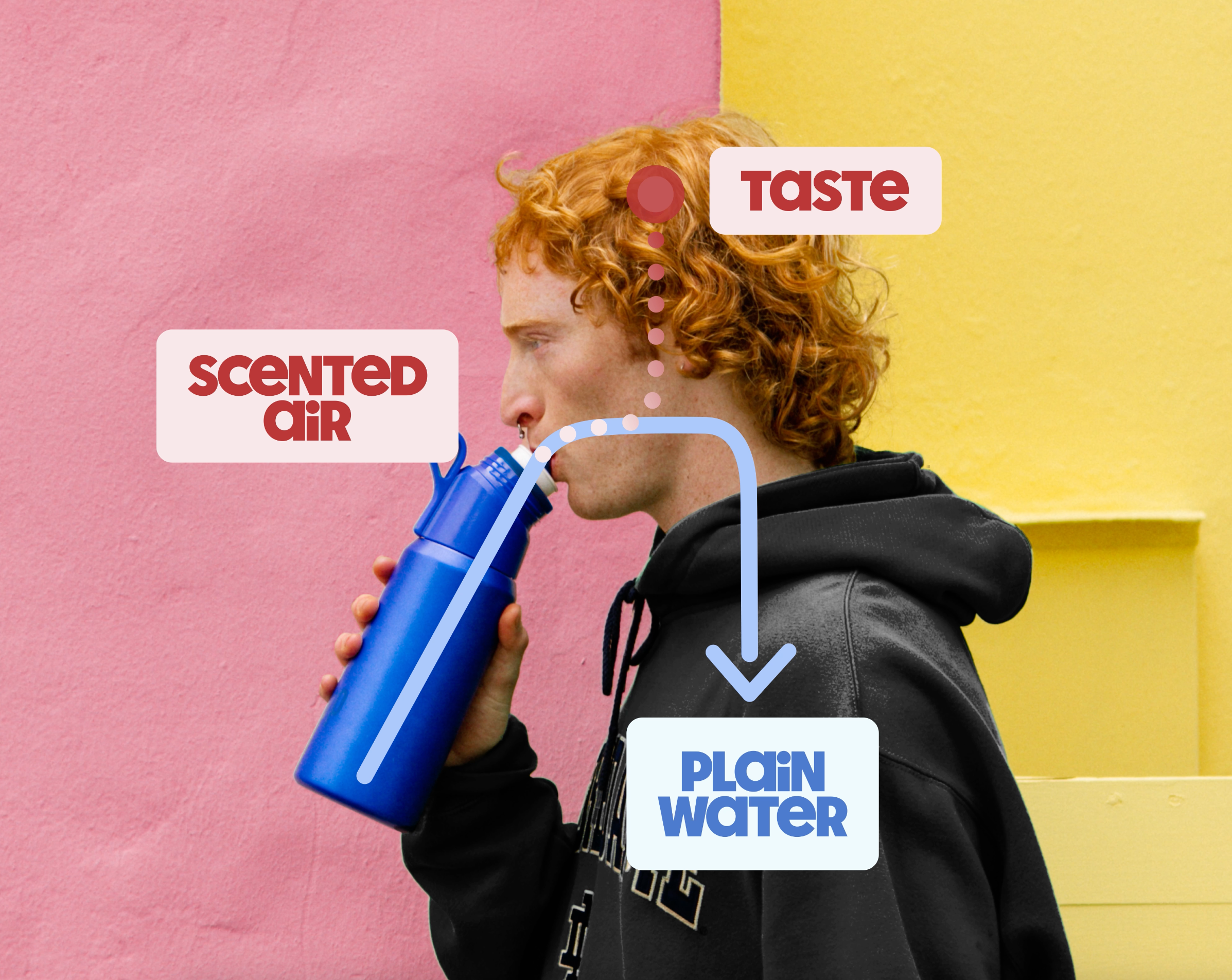 Flavored Water Bottle with Scent Pods | air up | air up United States