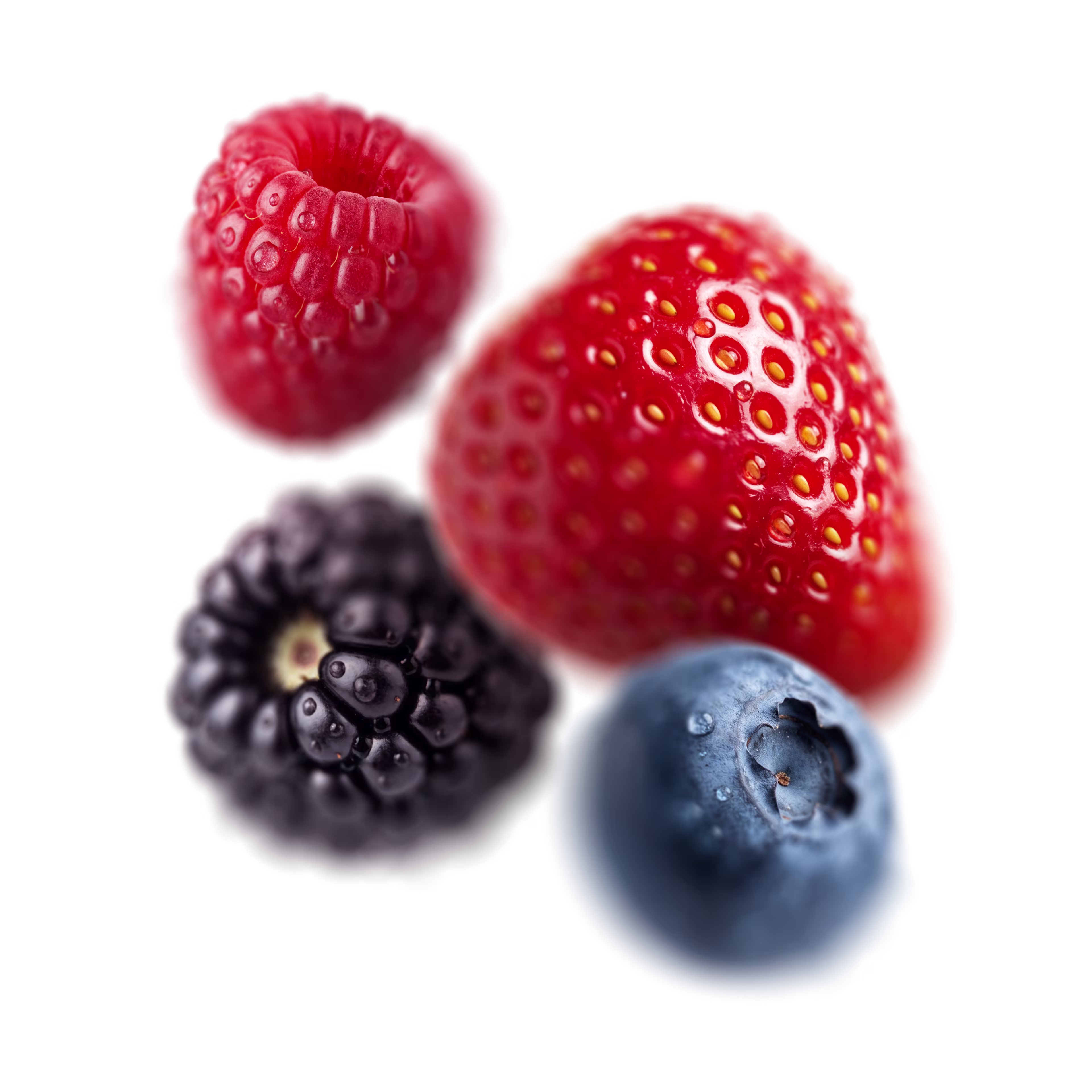top-picks-wild-berry-110000381