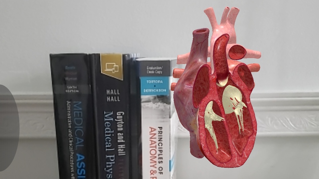 AR Heart Screenshot