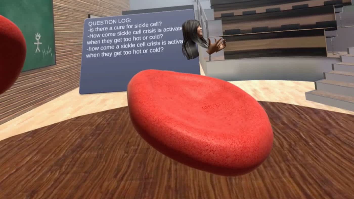 VR perspective of FSNG XR Summit showing an avatar, 3d model of a red blood cell, and chalkboard