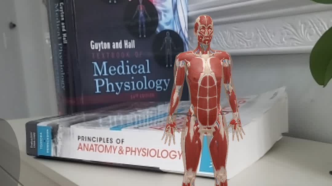 An AR anatomical model standing next to anatomy books