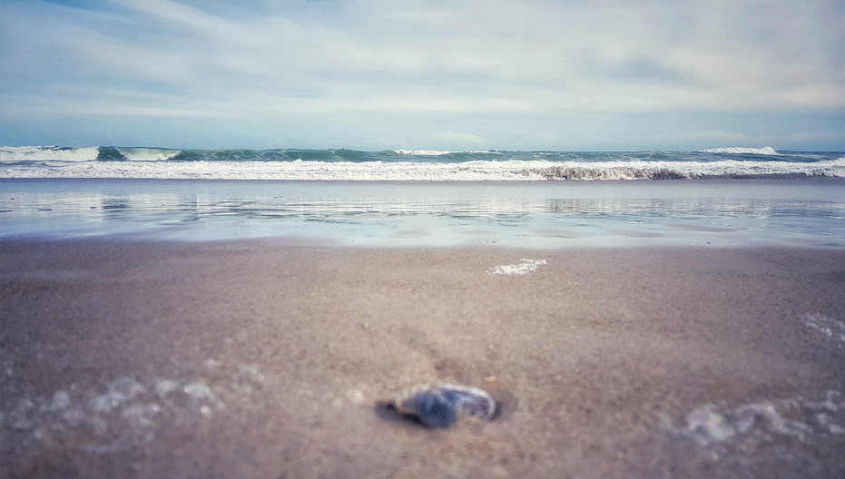 Beach scene