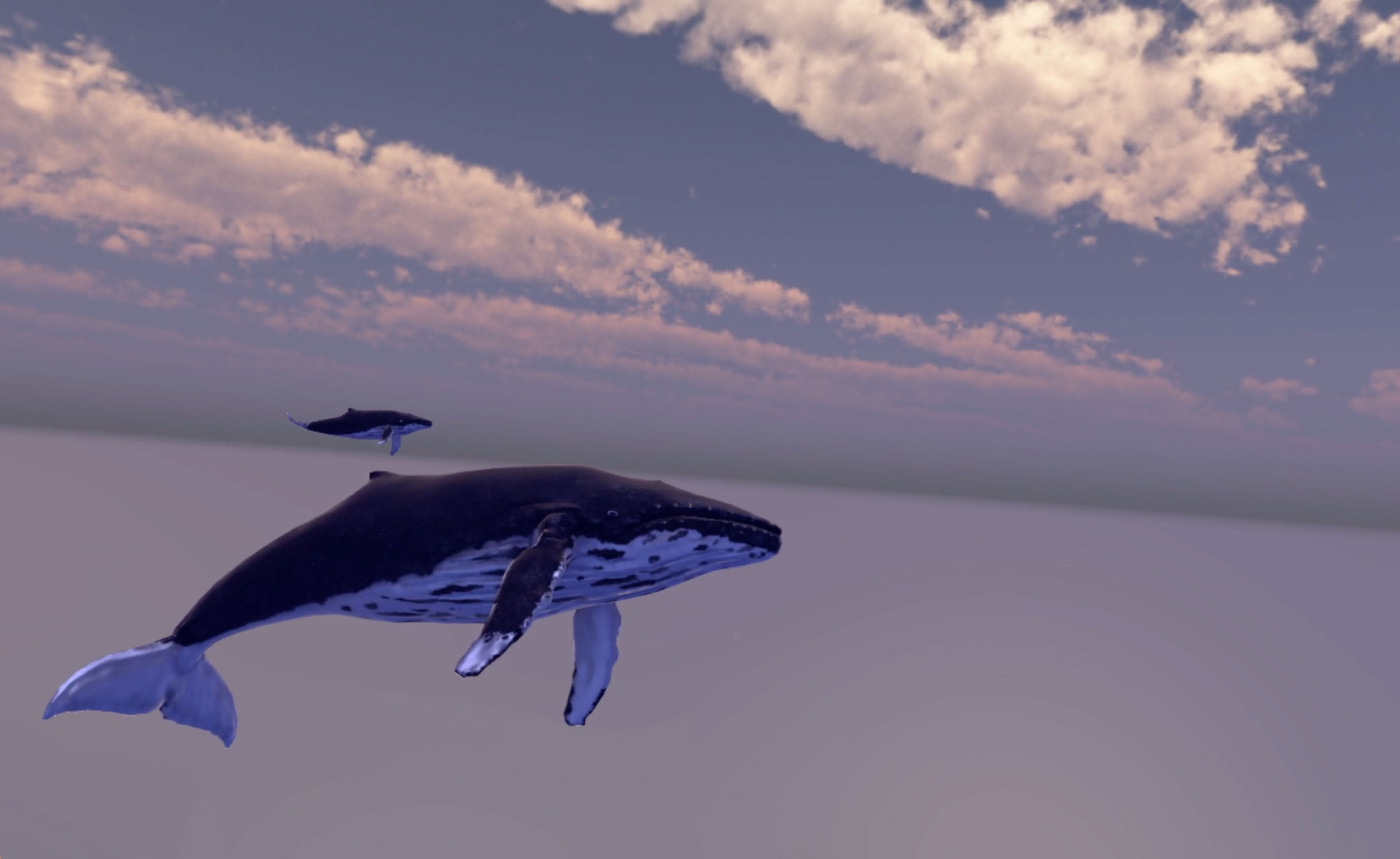VRShowcase whale-in-sky