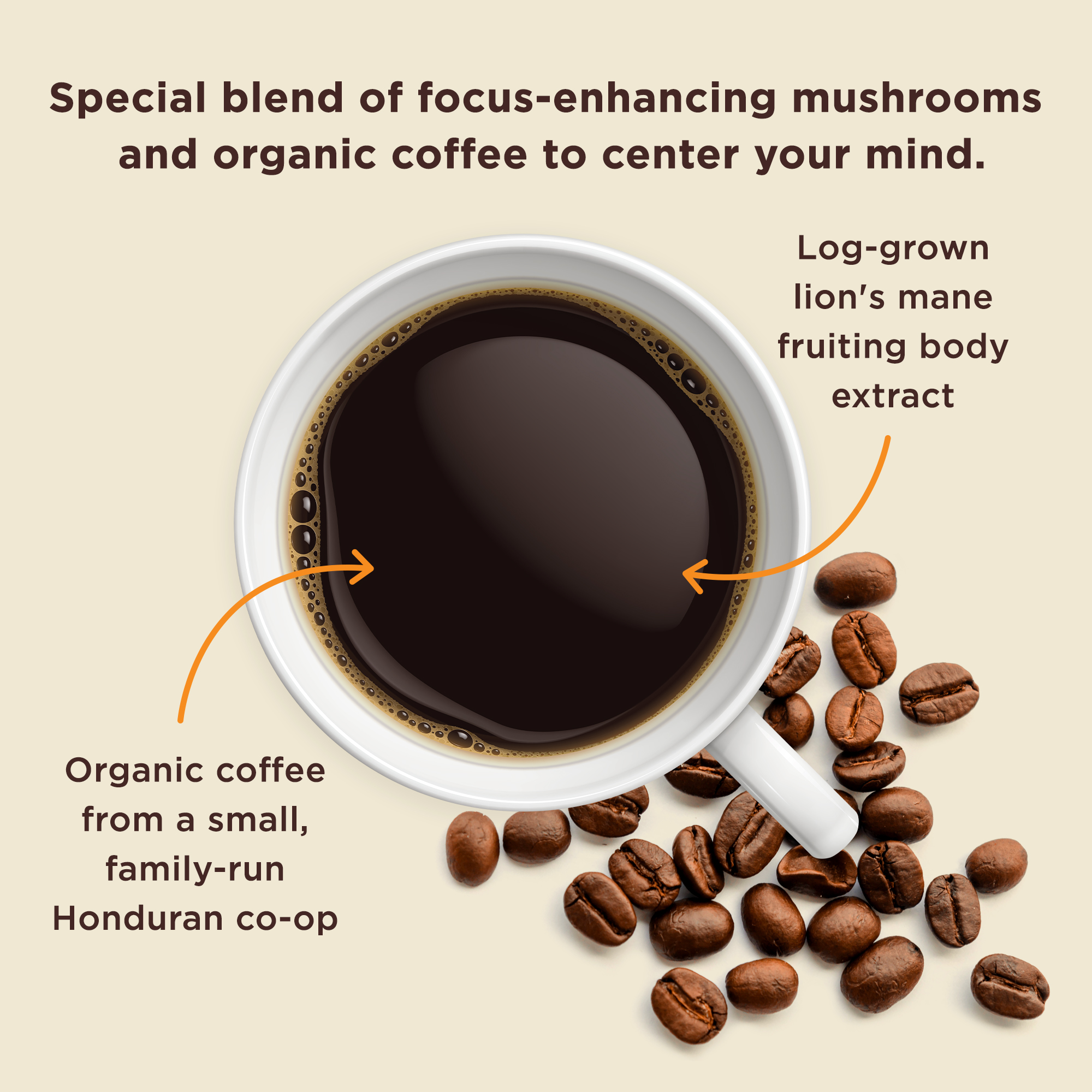 Think Ground Coffee: Lion's Mane Mushroom Blend - Four Sigmatic