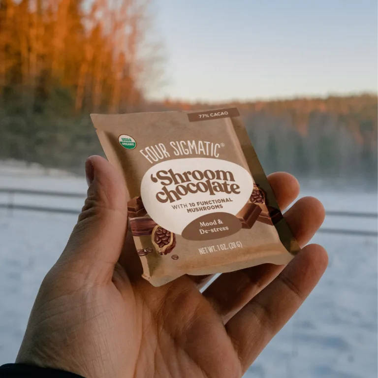 Mushroom Chocolate Winter Finland