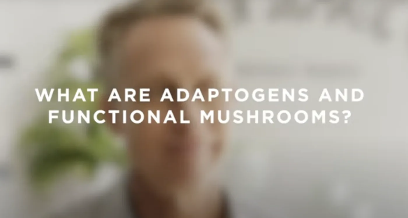 What are adaptogens and functional mushrooms? Dr. Mark Hyman