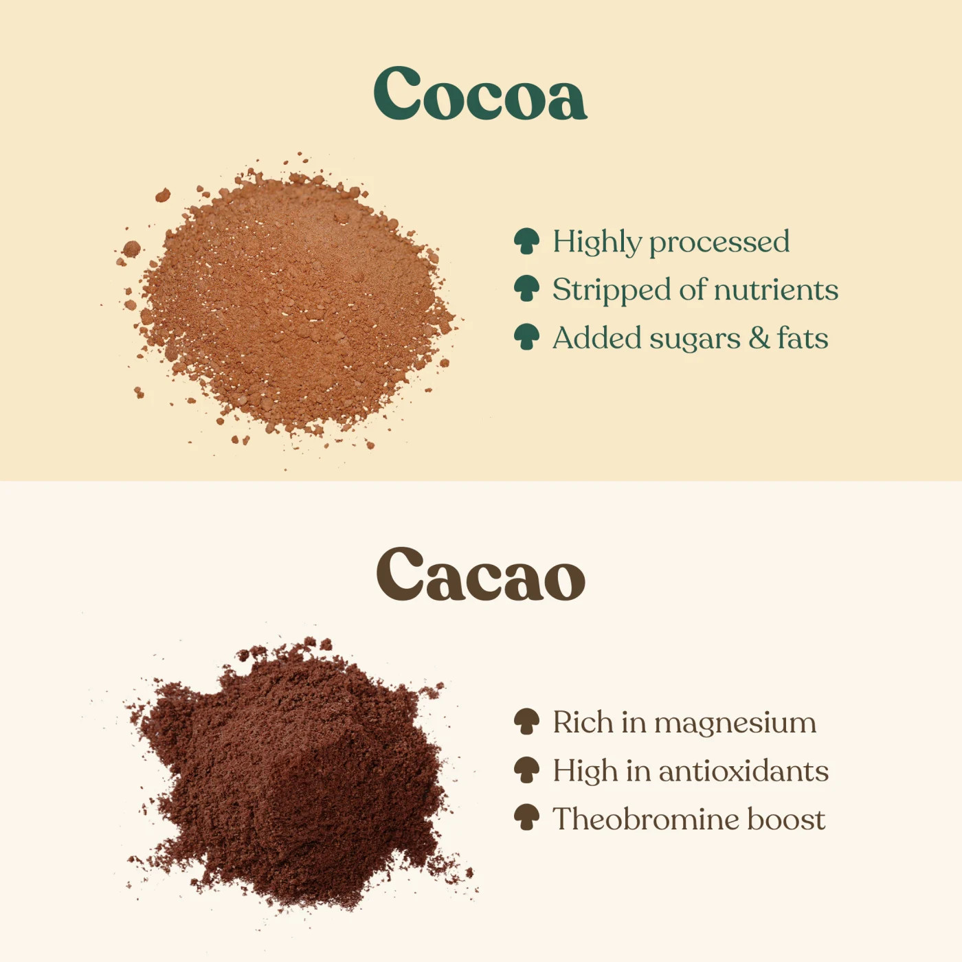 Blog Image Mushroom Chocolate Cocoa vs Cacao FINAL