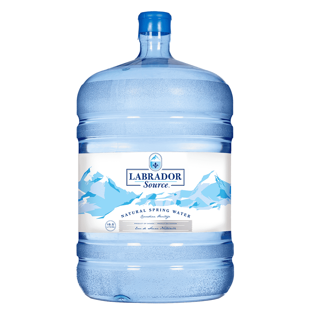 Eau distillée Ravenol destilliertes Wasser (5L) spec. Bidon