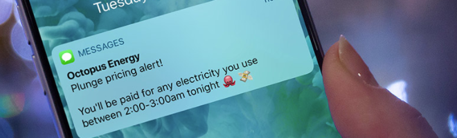 img-news-full-octopusenergy