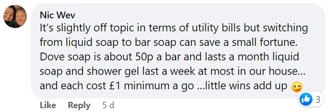 Nic's Facebook comment says switching to bar soap can save loads of money.