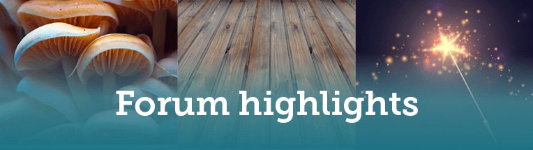 forum-highlights-banner-7oct2022