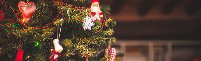 51% of people want to CANCEL Christmas