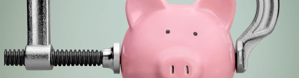 hero-blog-piggy-bank-vice