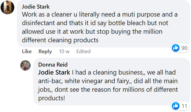 Jodie and Donna's Facebook comments say that they're both cleaners by trade who say you only need a multi-purpose cleaner and disinfectant to clean kitchens and bathrooms