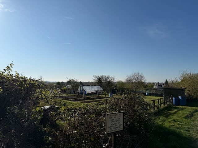 Photo of allotments in Chipping Norton April 8 a very sunny day with clear blue skies 