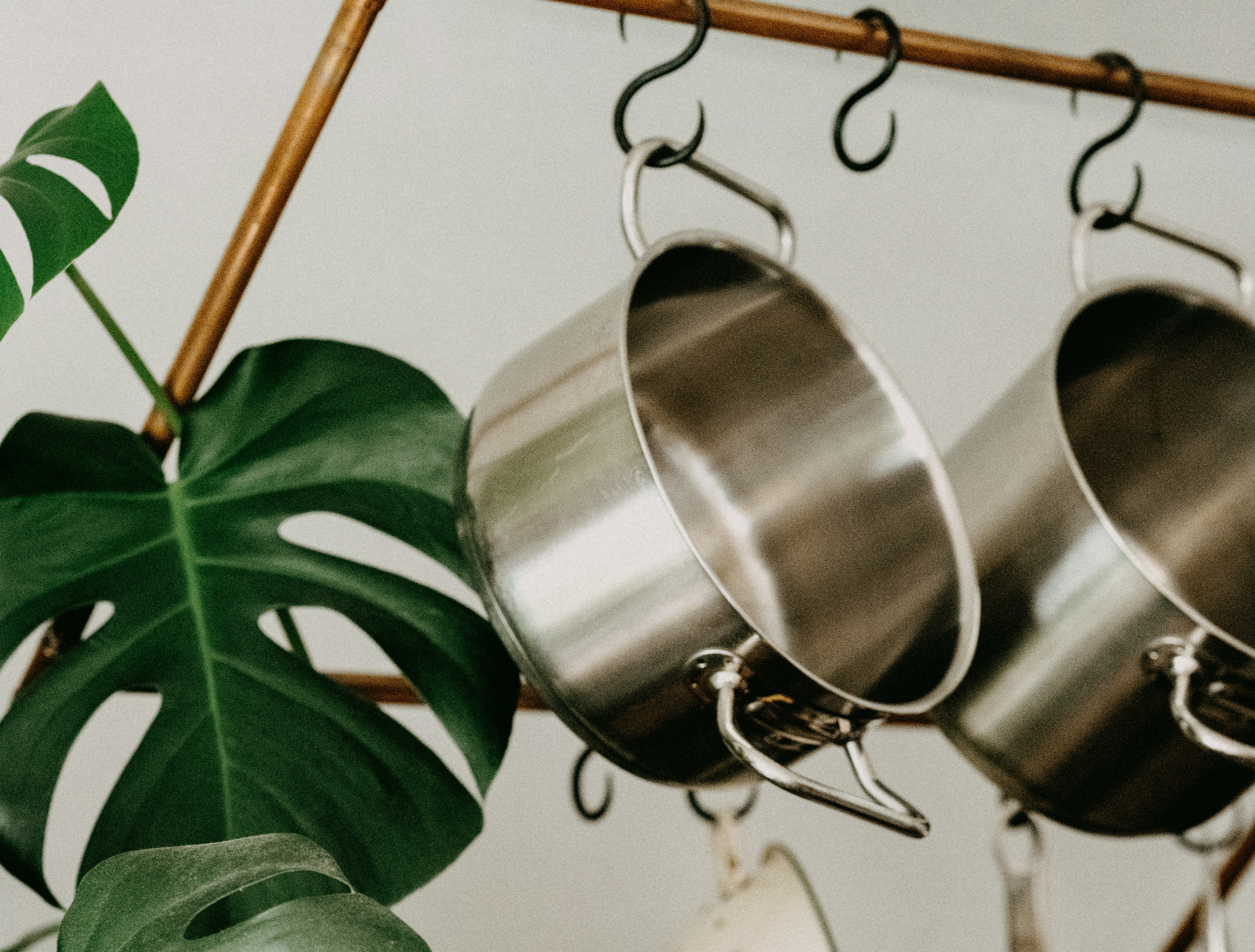 Cooking from scratch