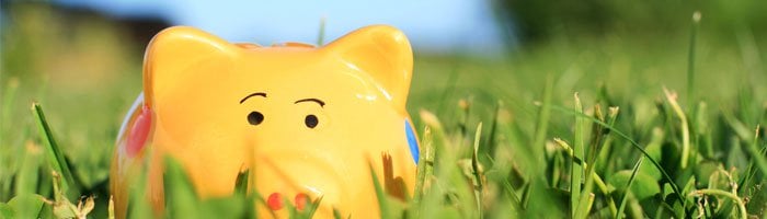 piggy-bank-yellow-grass-child
