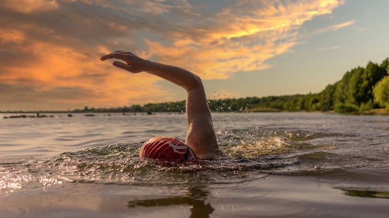 openwater_swimming1.jpg