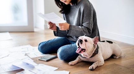 hero-homepage-tip-martin-debt-masterclass-bills-budgeting-dog.jpg