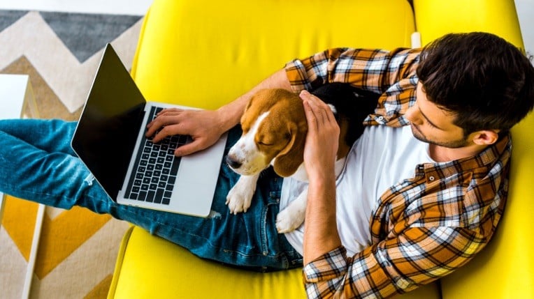 Picture of a man on his laptop with a dog