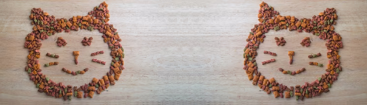 Meowneysavingt-Main-Image