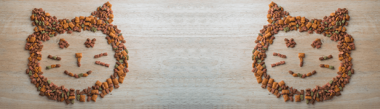 Meowneysavingt-Main-Image