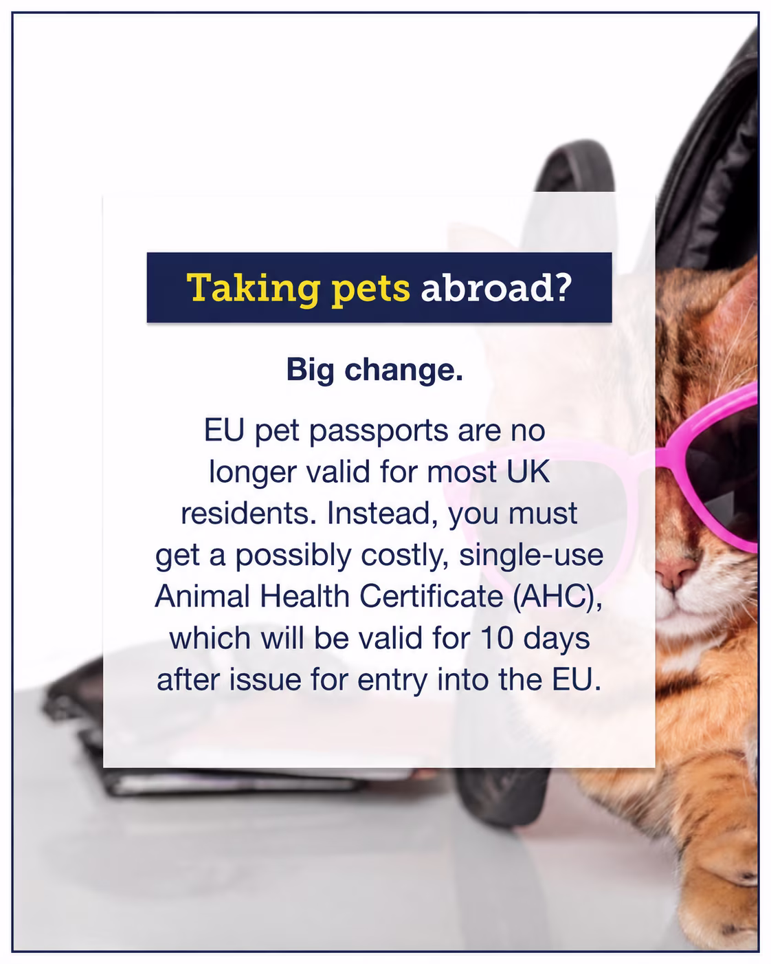 Graphic titled "Taking pets abroad?" showing a cat in pink sunglasses and a dog in the background. Text explains that EU pet passports are no longer valid for most UK residents and that a single-use Animal Health Certificate is now needed to enter the EU.