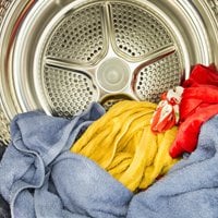 news-tumble-dryer-rhs.jpg