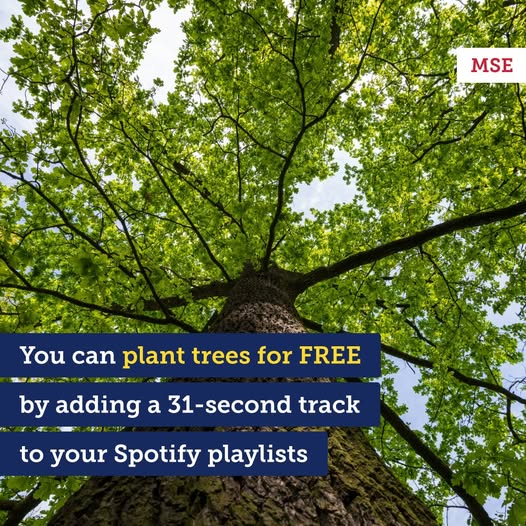 A low-angle view looking up a tall tree with green leaves against the sky. Overlaid text reads: "You can plant trees for FREE by adding a 31-second track to your Spotify playlists."