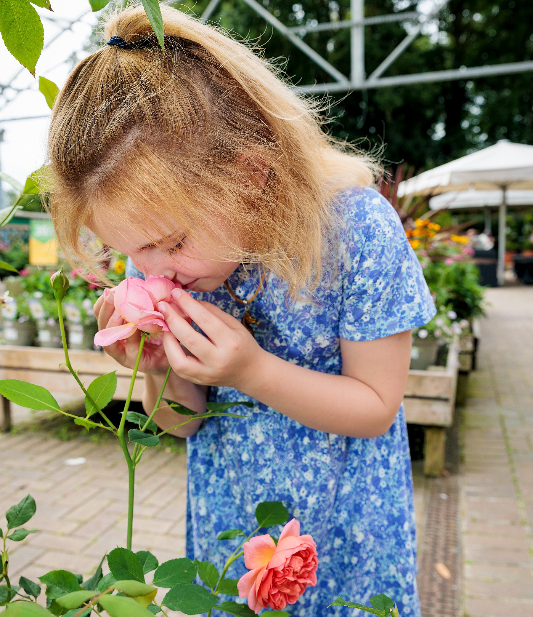 Image of a young child smelling a pink rose