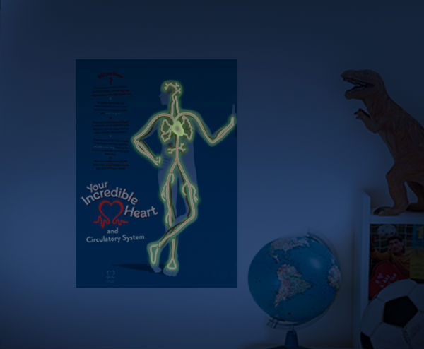 free-glow-in-the-dark-poster-british-heart-foundation-2019