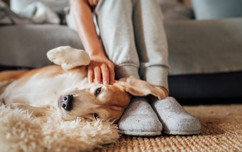 Woman sitting on a sofa, wearing slippers and bending down to stroke a dog.