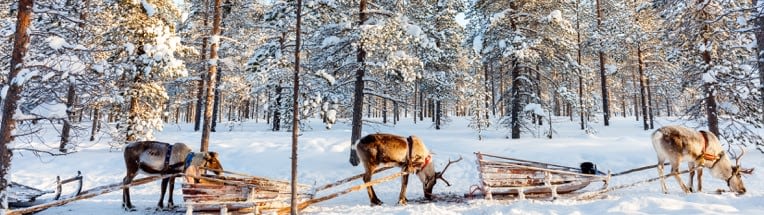 banner-hero-blog-lapland