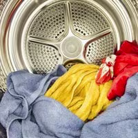 news-tumble-dryer-rhs