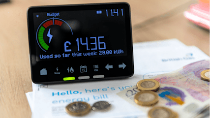 Smart meter in-home display