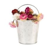 A steel bucket filled with chrysanthemums.
