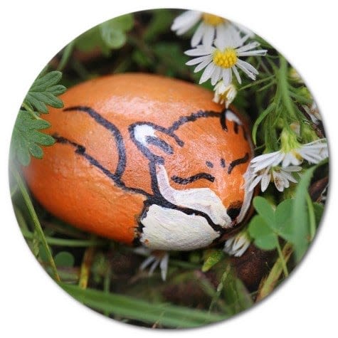 fox-image.jpg