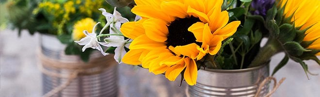 Sunflowers in a steel bucket.