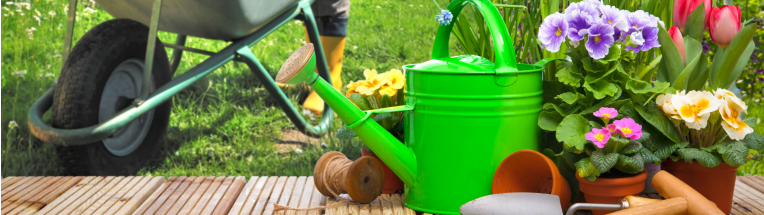 hero-blog-banner-gardening-tools-flowers-terrace-garden-plants