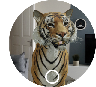 igd-tiger.png