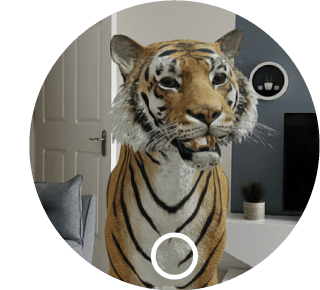igd-tiger.png