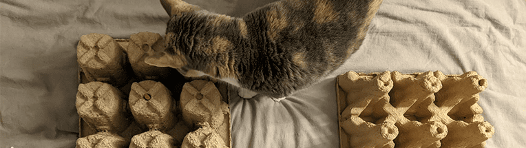 hero-banner-pet-toy-blog