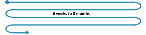 It takes roughly between six weeks and eight months to buy a property