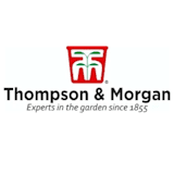 £63 summer bulb bundle for £12 delivered