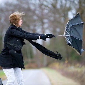 wind_brolly