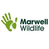 marwellwildlife.jpg