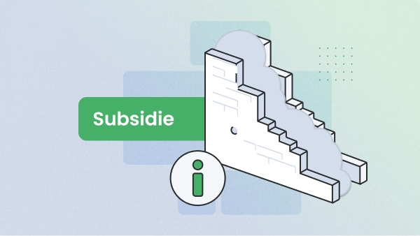 Subsidie Spouwmuurisolatie