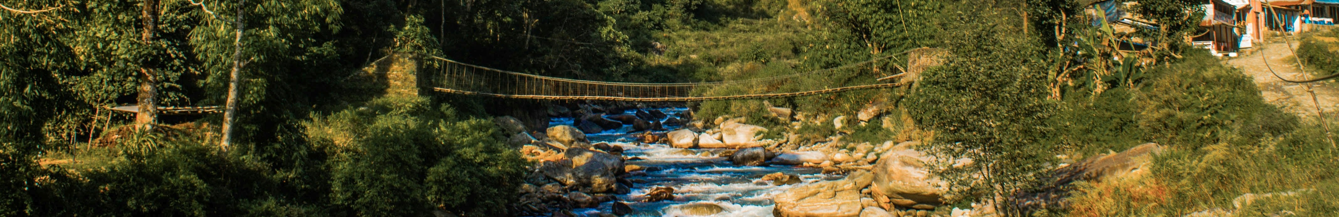 Ruisseau dans la montagne.